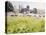 Looking across Christ Church Meadows, 1989-Lucy Willis-Premier Image Canvas