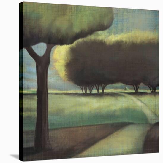 Looking Back I-Tandi Venter-Stretched Canvas