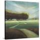 Looking Back II-Tandi Venter-Stretched Canvas