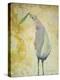 Looking Back Peace Bird-Tim Nyberg-Premier Image Canvas