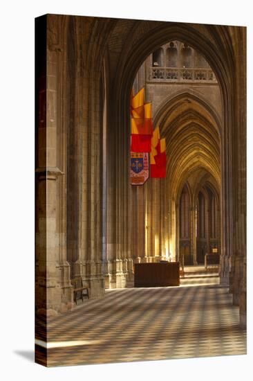 Looking Down an Aisle in Cathedrale Sainte Croix D'Orleans (Cathedral of Orleans), Loiret, France-Julian Elliott-Premier Image Canvas