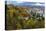 Looking Down into Autumn in Downtown Nelson, British, Columbia, Canada-Chuck Haney-Premier Image Canvas