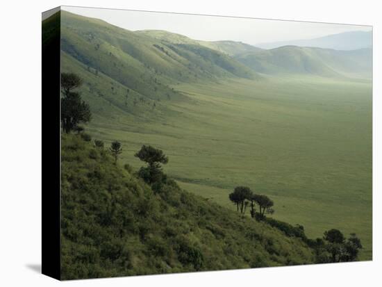 Looking Down into Ngorongoro Crater, Tanzania, East Africa, Unesco World Heritage Site-Staffan Widstrand-Premier Image Canvas