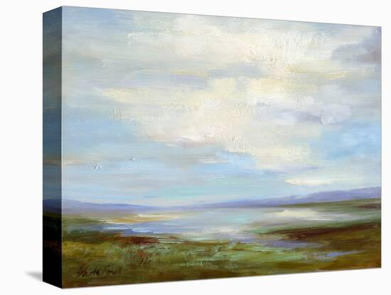 Looking North-Sheila Finch-Stretched Canvas