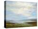 Looking North-Sheila Finch-Stretched Canvas