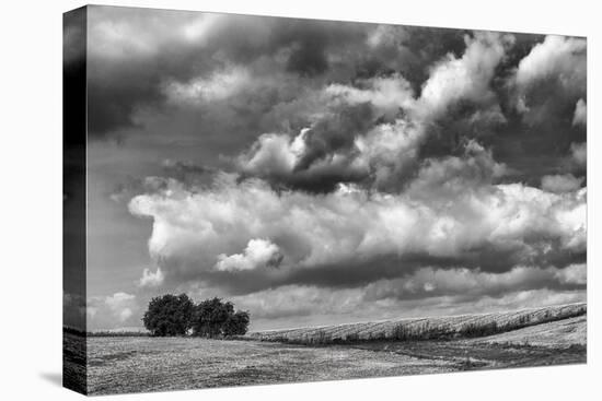 Looking Northwest-Trent Foltz-Stretched Canvas