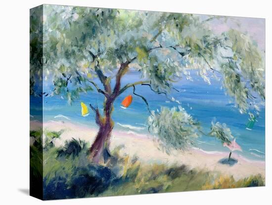Looking on to a Beach-Anne Durham-Premier Image Canvas
