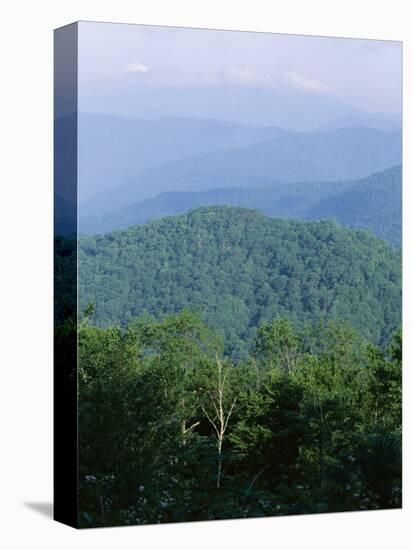Looking Over the Appalachian Mountains from the Blue Ridge Parkway in Cherokee Indian Reservation-Robert Francis-Premier Image Canvas