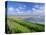 Looking South Along Saunton Sands and Braunton Burrows Near Barnstaple, North Devon, England, UK-Robert Francis-Premier Image Canvas