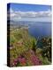 Looking Towards Funchal From Cabo Girao, One of the World's Highest Sea Cliffs, Portugal-Neale Clarke-Premier Image Canvas