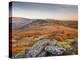 Looking Towards Honeybag Tor in Dartmoor National Park, Devon, England, United Kingdom, Europe-Julian Elliott-Premier Image Canvas