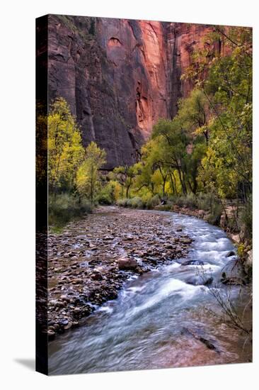 Looking Upstream II-Danny Head-Premier Image Canvas