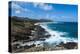 Lookout over Sandy Beach, Oahu, Hawaii, United States of America, Pacific-Michael-Premier Image Canvas