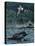 Loon Threat-Rusty Frentner-Premier Image Canvas