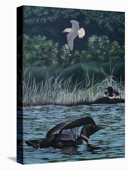 Loon Threat-Rusty Frentner-Premier Image Canvas