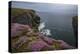 Loop Head, County Clare, Munster, Republic of Ireland, Europe-Carsten Krieger-Premier Image Canvas