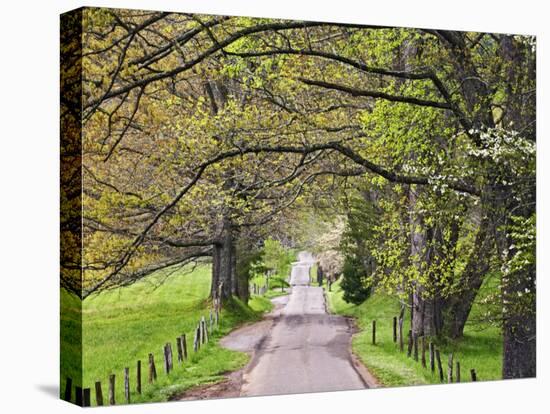 Loop Road in Cades Cove, Great Smoky Mountains National Park, Tennessee, USA-Adam Jones-Premier Image Canvas