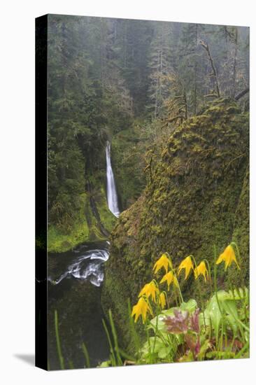 Loowit Falls in Forest Scenery, Columbia Gorge, Oregon, USA-Gary Luhm-Premier Image Canvas