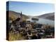 Lorch, Rhine Valley, Hesse, Germany, Europe-Hans Peter Merten-Premier Image Canvas