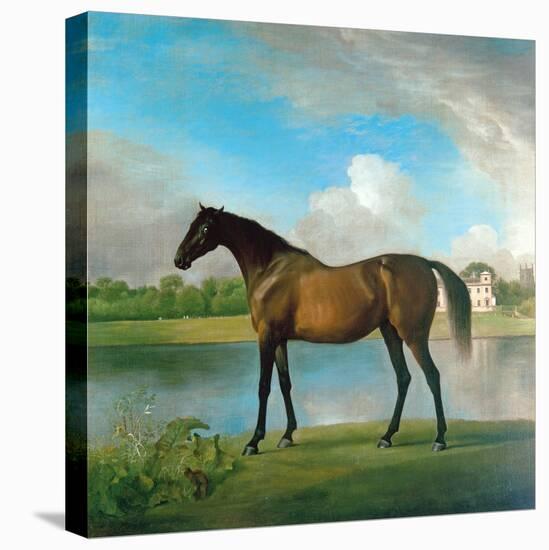 Lord Bolingbroke's Brood Mare in the Grounds of Lydiard Park, Wiltshire, C.1764-66-George Stubbs-Premier Image Canvas