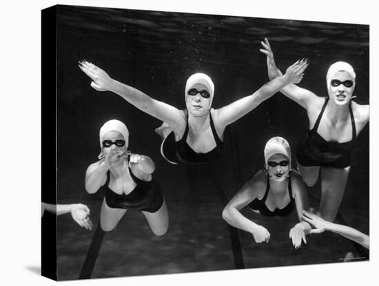 Loreleis Swimming in Underwater Pattern During Dolphin Show at Northwestern University-Francis Miller-Premier Image Canvas