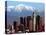 Los Angeles Mount Baldy-Nick Ut-Premier Image Canvas