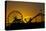 Los Angeles, Santa Monica, Ferris Wheel and Roller Coaster at Sunset-David Wall-Premier Image Canvas