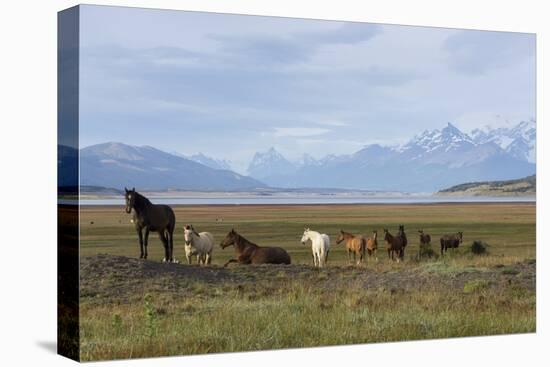 Los Glaciares National Park, Patagonia, Argentina-Peter Groenendijk-Premier Image Canvas