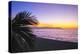 Los Muertos Beach Sunset, Puerto Vallarta, Mexico-George Oze-Premier Image Canvas