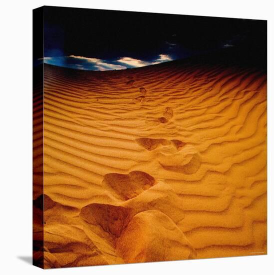 Lost in the Golden Sand-Mark James Gaylard-Premier Image Canvas