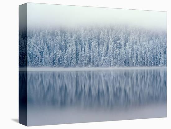 Lost Lake and Snow-Covered Douglas Firs-Steve Terrill-Premier Image Canvas