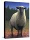 Lost Sheep-W Johnson James-Premier Image Canvas