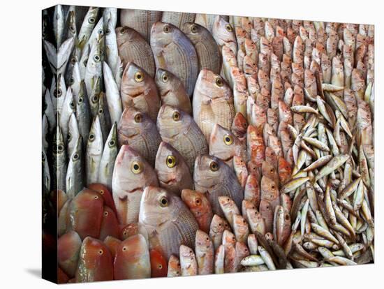 Lots of Different Mediterranean Fish-Joerg Lehmann-Premier Image Canvas