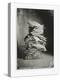 Lots of Tea Bags, Stacked-Dave King-Premier Image Canvas