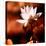 Lotus Flower Blossom-Liang Zhang-Premier Image Canvas