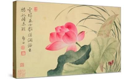 Lotus Flower By Yun Shou P Ing 1633 90 From An Album Of Flowers W C On Silk Backed Paper Giclee Print Yun Shouping Art Com