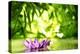 Lotus Flower Floating on Water in a Forest-Liang Zhang-Premier Image Canvas