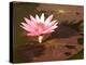 Lotus Flower in the Morning Light, Sukhothai, Thailand-Gavriel Jecan-Premier Image Canvas