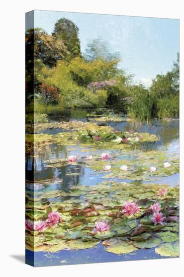 Lotus Lagoon-Tania Bello-Stretched Canvas