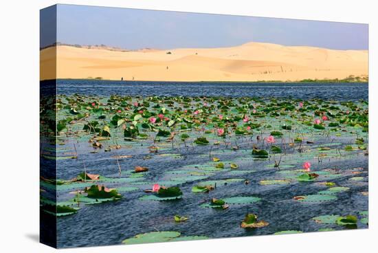 Lotus Lake and White Sand Dunes near Mui Ne, Dong Nam Bo, Vietnam-null-Stretched Canvas