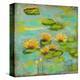 Lotus Lake I-Anne Hempel-Stretched Canvas