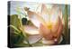 Lotus Landing-Elizabeth Horning-Premier Image Canvas