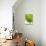 Lotus Leaf Texture-Michele Molinari-Premier Image Canvas displayed on a wall