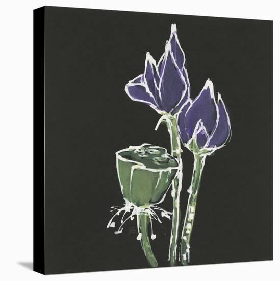 Lotus on Black II-Chris Paschke-Stretched Canvas