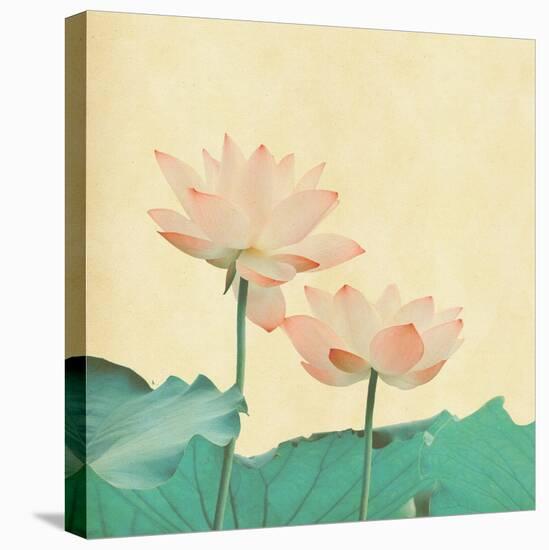 Lotus On The Old Grunge Paper Background-kenny001-Stretched Canvas