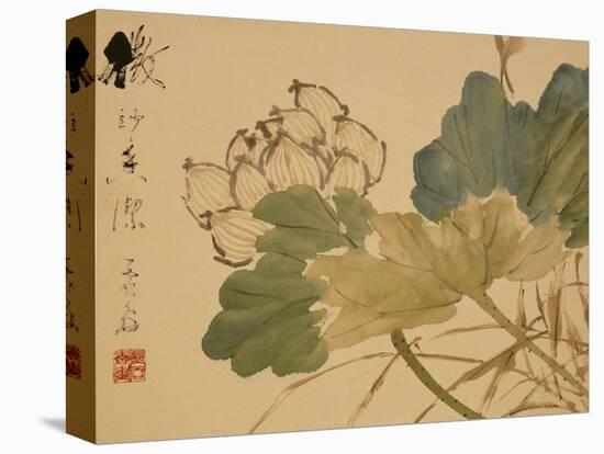 Lotus-Xu Gu-Premier Image Canvas