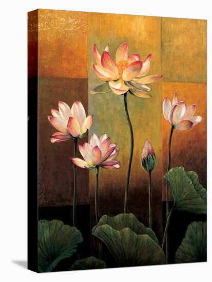 Lotus-Jill Deveraux-Stretched Canvas