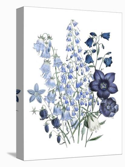 Loudon Florals IV-Jane W. Loudon-Stretched Canvas
