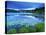 Loughrigg Tarn, Lake District National Park, Cumbria, England, United Kingdom, Europe-Jeremy Lightfoot-Premier Image Canvas