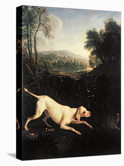 Louis XIV's Dog, Tane-Alexandre-Francois Desportes-Premier Image Canvas